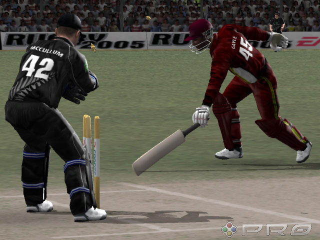 cricket 2005 free download